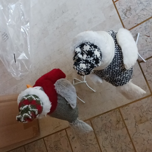 Rockin' Birds'  W/ Knit Hat & Scarf By Valeri/Qvc...Set Of 2....New - Picture 12 of 16